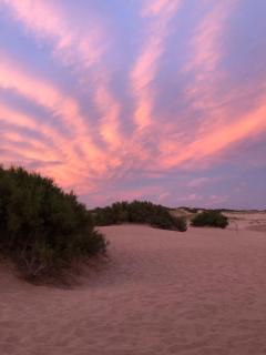 Hotel Massa - Villa Gesell - 9