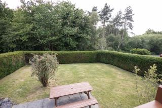 Thistledonia - Trawsfynydd - 6