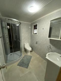 Hospedaje entre Volcanes y Araucarias - 4