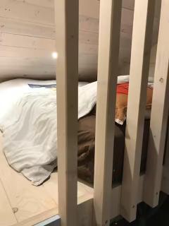 Le Cabanon - Tiny House 150m de la Plage - Portbail - 6