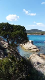 Villa bord de mer - Sartène - 6