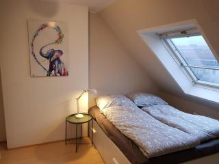 Charming maisonette with sun terrace - Düsseldorf - 2