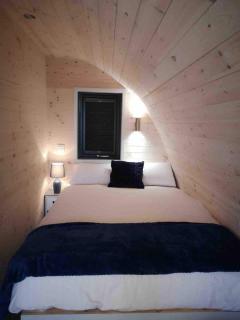 Ballyhemlin pods - Blackthorn - 1