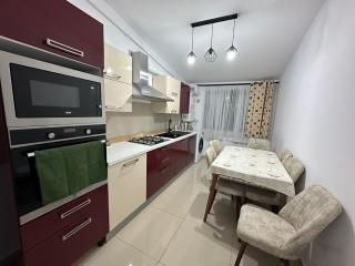 Zlata Comfort Apartment - Ipoteşti - 4