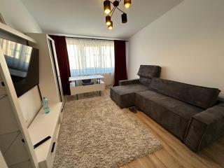 Zlata Comfort Apartment - Ipoteşti - 3