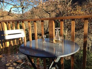 Luxury mountain cottage with pool access - La Bergerie - 3