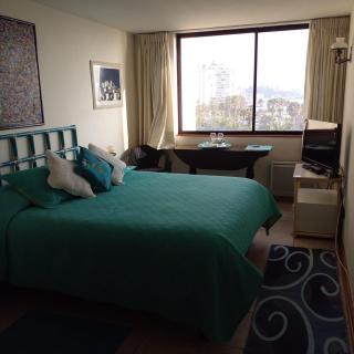 Apartment San Martín - Viña del Mar - 0