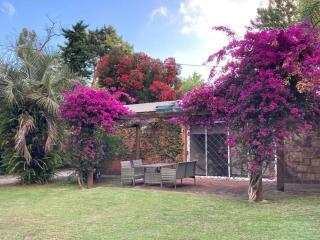 Casa con piscina climatizada y gran jardín - Punta del Este - 0
