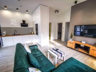 Apartment Roku 2024 - JELEŃ & NATURA - Kudowa-Zdrój - 1