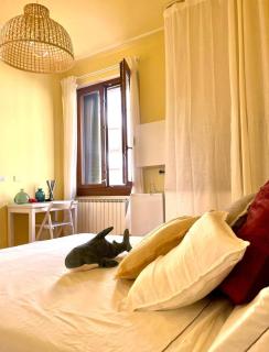 HealthyHome Caracciolo Essential - Florencia - 5