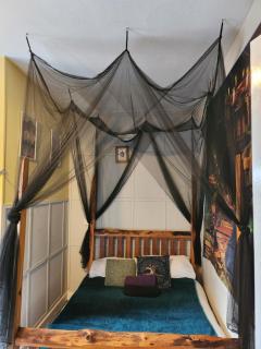 Wizards Crone - Great Yarmouth - 4