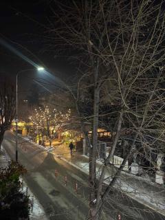 Flora's Center Apartment - 1