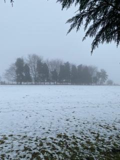 Crabmill glamping bewdley - Bewdley - 2