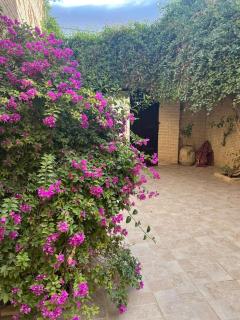 Residence Tozeur Almadina - Tozeur - 3