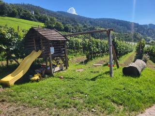 Martscholer Weinhof - Chiusa - 6