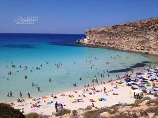 Lampedusa rosamarina - Lampedusa - 9