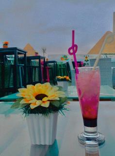 Sunshine Pyramids Inn - Kairo - 4
