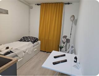 Unitatea de cazare 'Iulia', Arad centru, mall AFI, ideal pentru turiști și studenți - Arad - 4