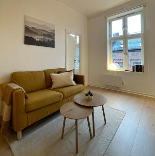 Quiet apartment, trendy Grünerlokka - Oslo - 0