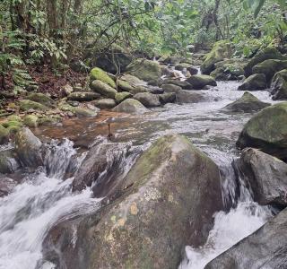 Casa em Peruíbe - Perto da Praia - 9