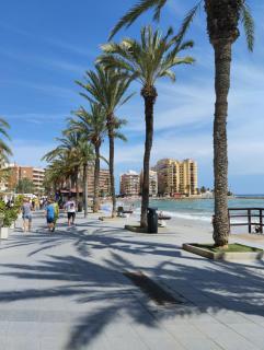 Palacio del mar - Torrevieja - 3