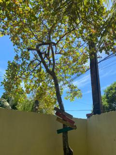 Mansão nordestina barra grande Ba - 5