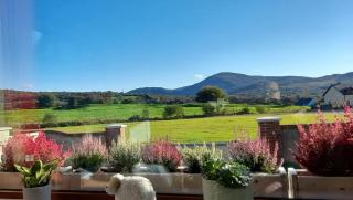 Sheepviewhouse Leo - Kilgarvan - 6