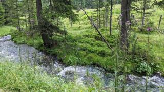 Marki's home - Wiedweg - 8