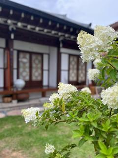 Kyodong94 - 1 - Jeonju - 3
