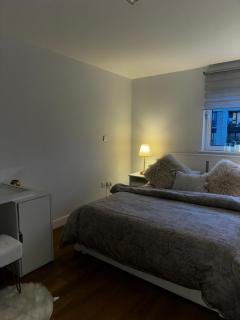 Entire luxurious River side 1 Bedroom Flat university East London Excel City airport - Londra - 7