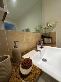 Entire luxurious River side 1 Bedroom Flat university East London Excel City airport - Londra - 4