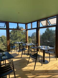 Lemudomos - Pichilemu - 4