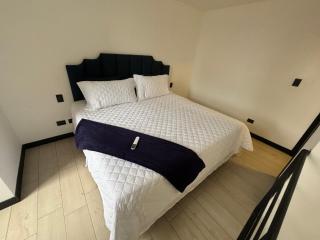 EON-Clarion suite - - 2