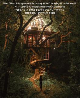 Treeful Treehouse Sustainable Resort - 1