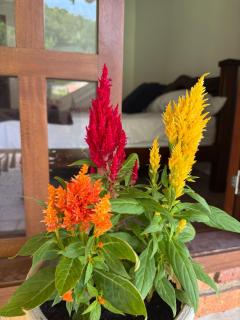 Cabaña La Sanguina 4 Pax - 4