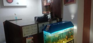 Hotel O The Paris Hotel - Palwal - 4