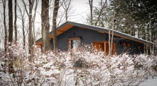 Nold forest house 那須高原の森の中で心地よく暮らす宿 - 8