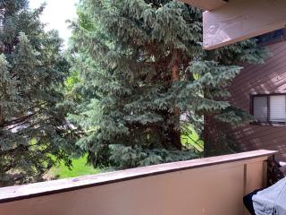 Renovated condo steps from Beaver Creek shuttle - 4