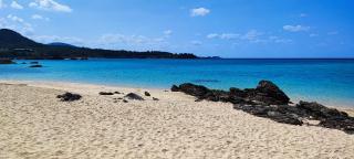 にらい恩納　伊集 - 9