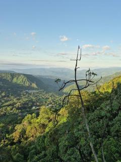 El Paraiso en La Montaña - 5