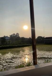 Tepi Sawah Syariah Homestay - Sleman - 5