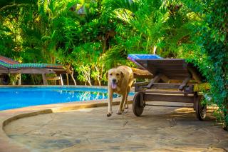 Three Bedrooms Family Cottage in Galu Diani Beach - Ukunda - 1
