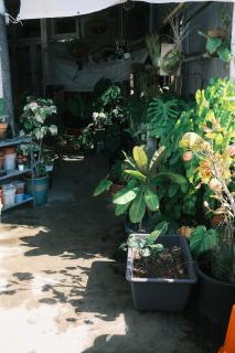 A Forest Homestay - Xiaoliuqiu - 1