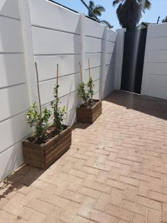 Lynwood Place - - 3