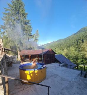 Cabana Floare de stâncă Retezat cu Ciubar in pădure - 0