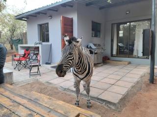 Indaba Kruger Safari The Cottage - 9