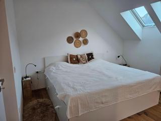 Sunny AP22 - Bovec - 8
