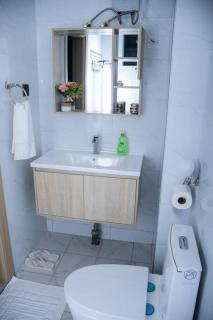 Cosy Modern studio in Ruaka - Ruaka - 2