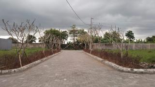Villa Bougenville Inn - Salakan - 5