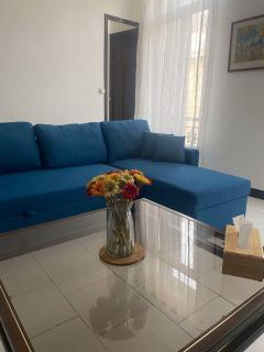 Joli T2 refait à neuf, lumineux et accessible - 0